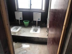 江源半岛 1500元/月  3室2厅2卫