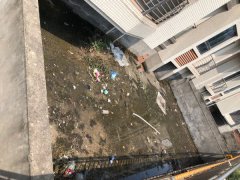 长江之滨 900元/月  3室2厅2卫 清水