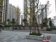 宜宾绿园小区新楼房,10年内付完54万