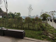 丽雅大院江景联排别墅视野开阔，共5层，有车库带花园