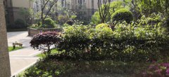 邦泰国际社区楼王首层洋房，南侧无遮挡，观湖景,带花园套内90