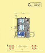 三江新区*紫金城·紫金广场户型图