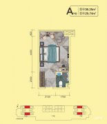 三江新区*紫金城·紫金广场户型图