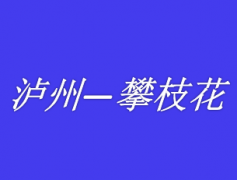 泸州到攀枝花西昌拼车网约车私家车组合车野猪儿总台调度电话