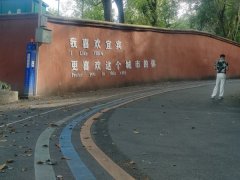 丽江旅游 拼车 门票  一二日游 商务车团